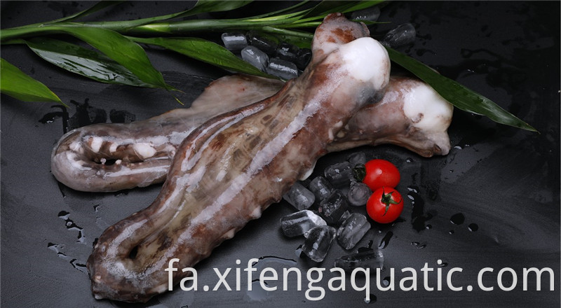 شاخک های ماهی مرکب Squid Tentacles